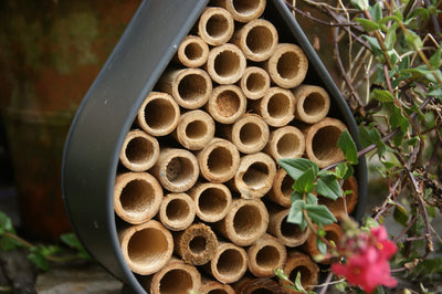 Raindrop Insect House