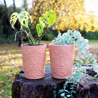 16cm Green Goddess Terracotta Plant Pot