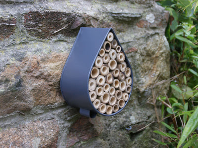 Raindrop Insect House on Wall