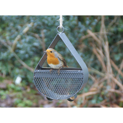 Raindrop Bird Feeder with Robin Feeding