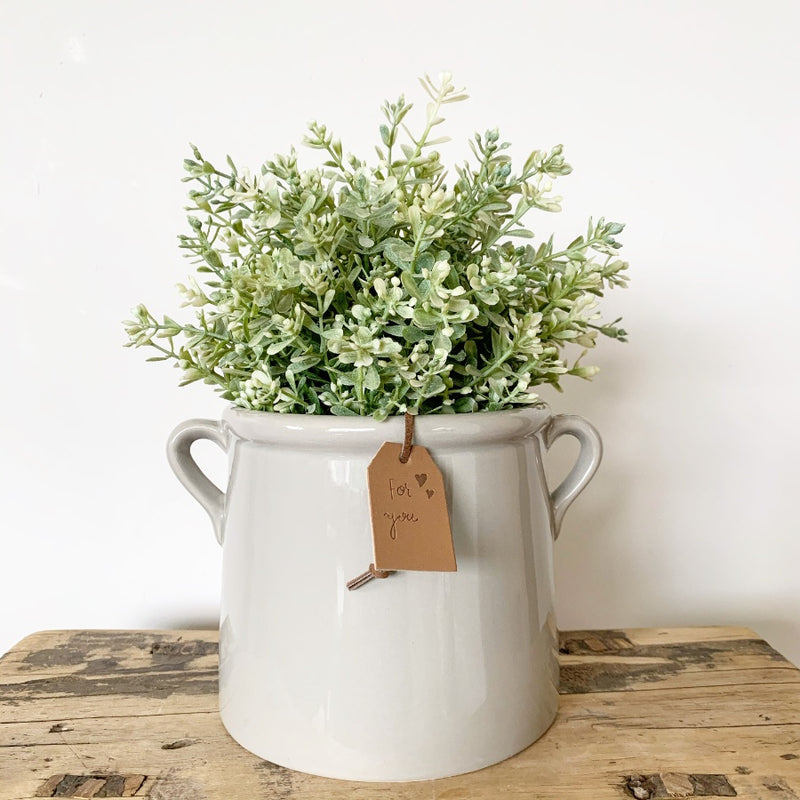 Grey Ceramic Pot with Plant