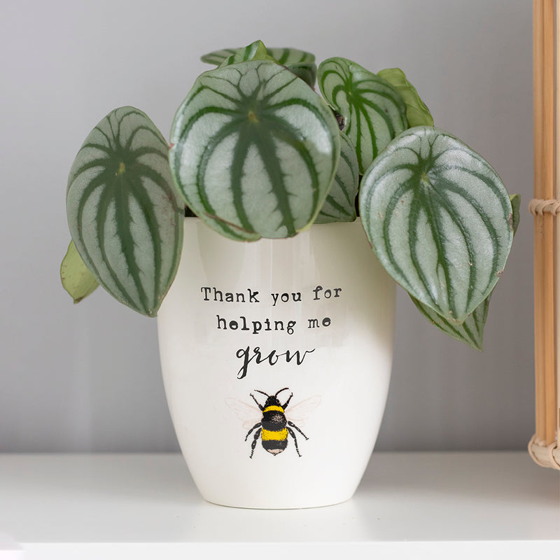 Thank You For Helping Me Grow Ceramic Plant Pot
