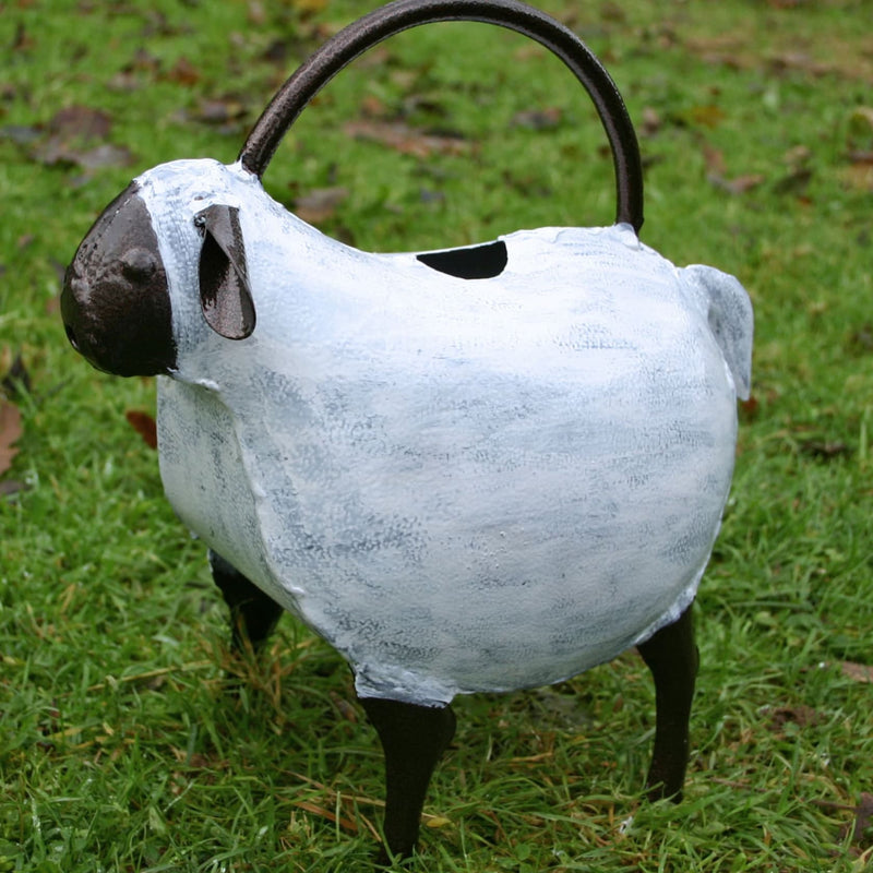 Sheep Watering Can